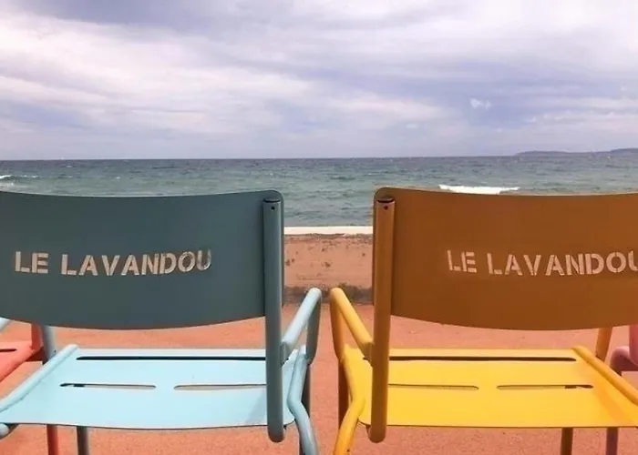 Duplex Climatise 2 Avec Piscine Et Parking - - Fr-1-251-905 Le Lavandou